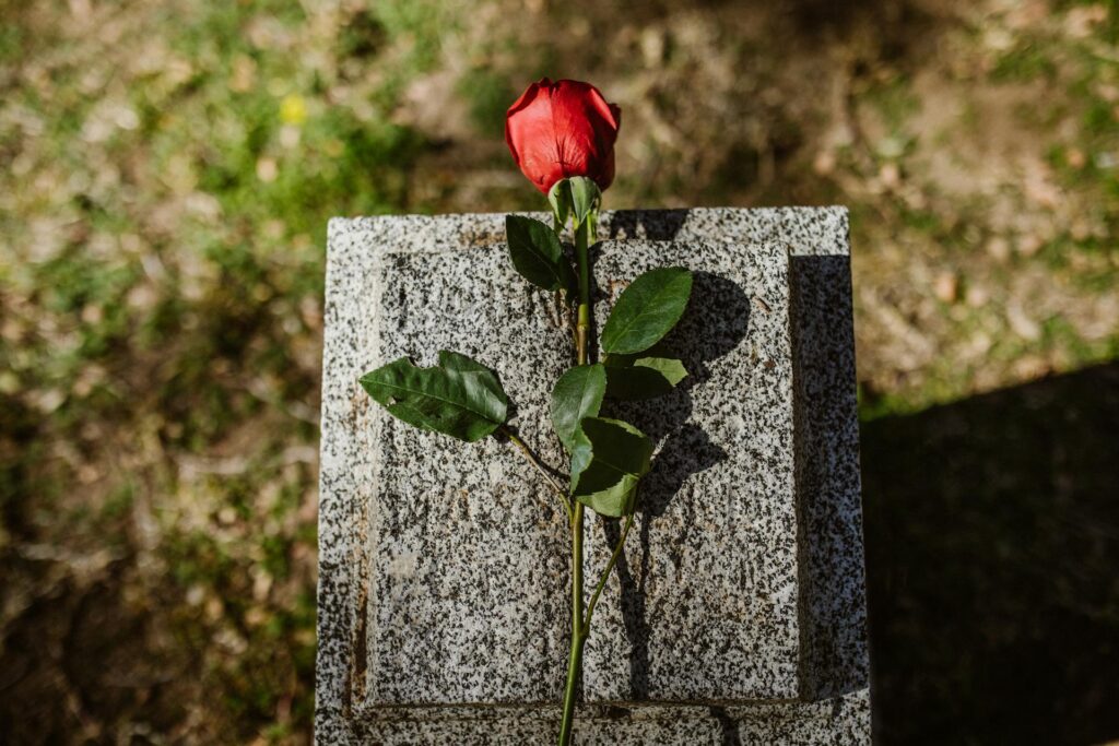 A Journey Through Grief and Love